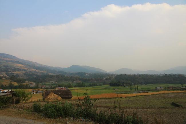 IMG_9004_resize.JPG