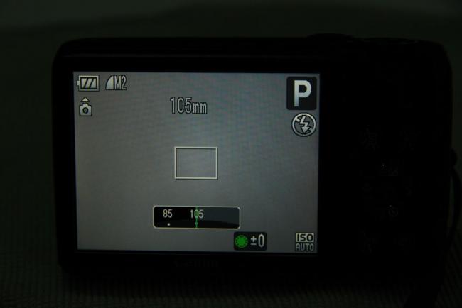 IMG_1299_resize.JPG