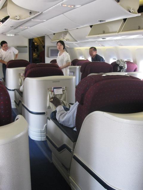 picture 313.jpg