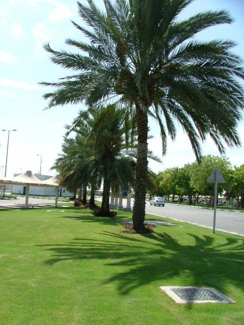 DSCF2764.JPG