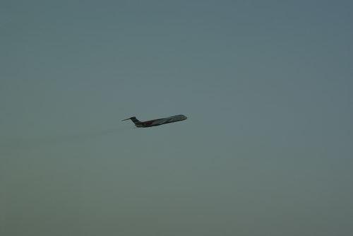 _DSC0725_resize.JPG