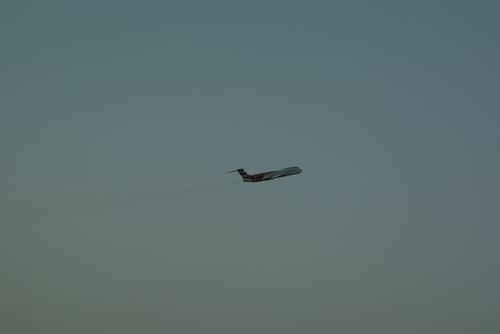 _DSC0726_resize.JPG