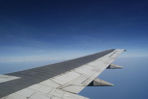 _DSC0804_resize.JPG
