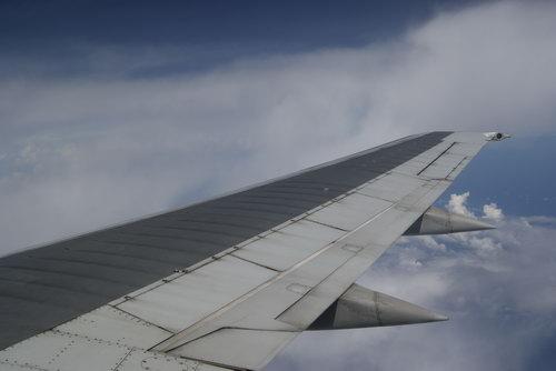 _DSC0826_resize.JPG
