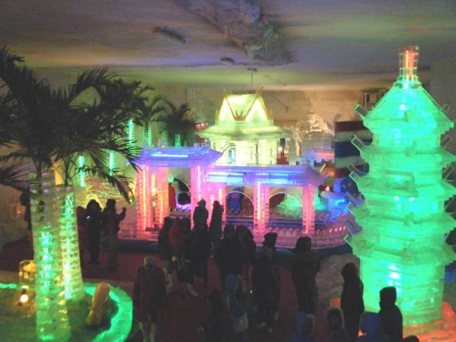 DSCF5568.jpg
