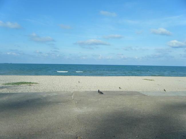 DSCF5593.jpg