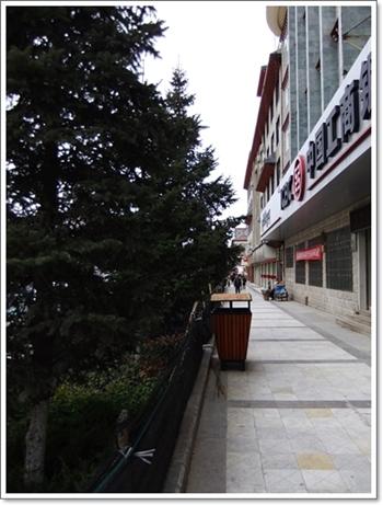 DSCF0195.jpg