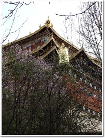 DSCF0218.jpg