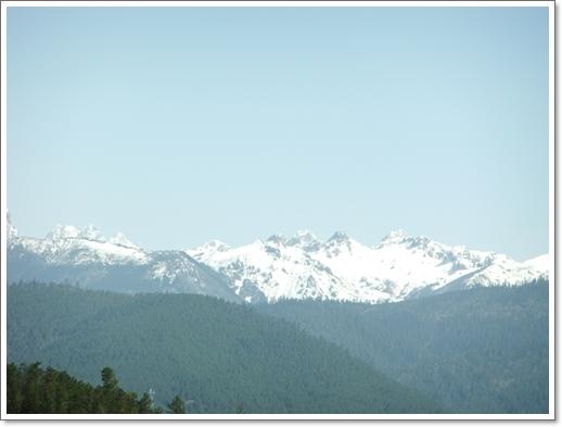 DSCF0255.jpg
