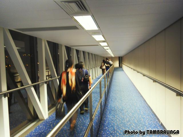 SDC16017.jpg