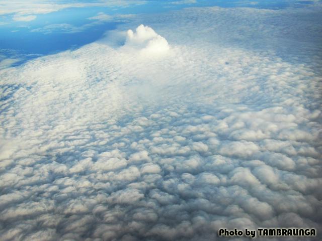 SDC15971.jpg