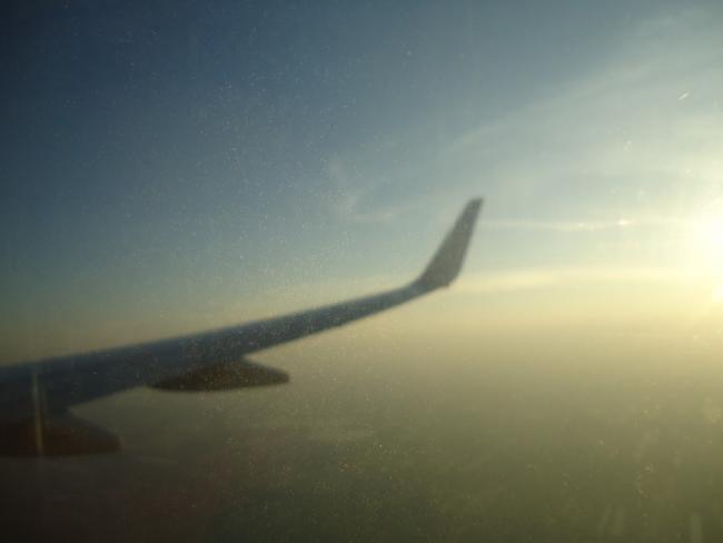 DSC04884_resize.JPG