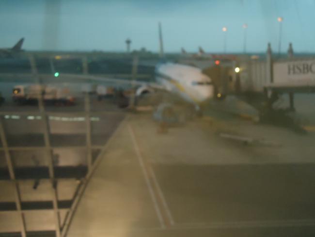 DSC03925_resize.JPG