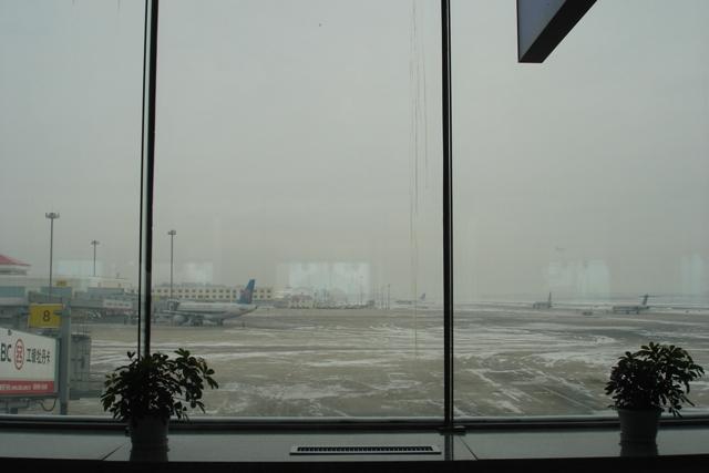 DSC09308.JPG