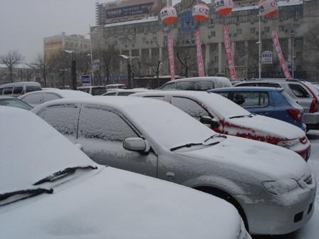 DSC09212.JPG
