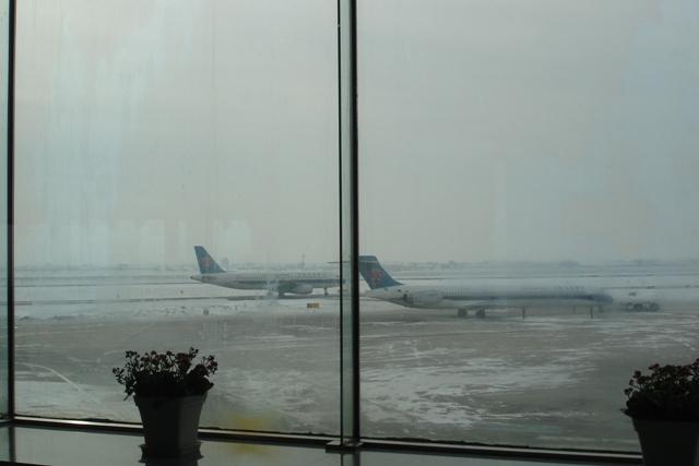 DSC09311.JPG