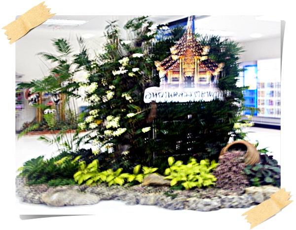 DSCF0782.JPG