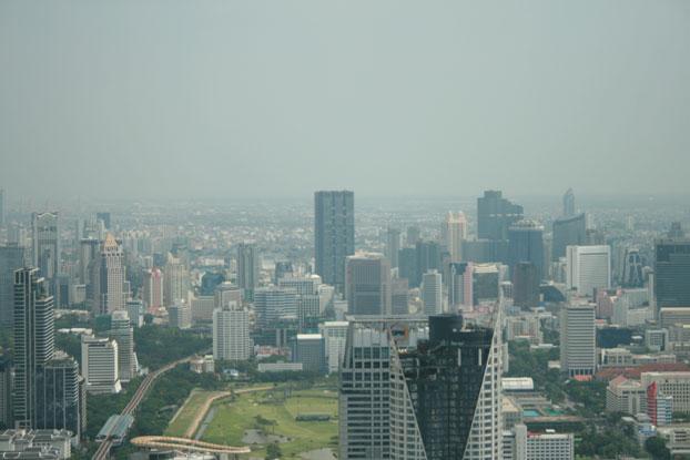 IMG_5390.jpg