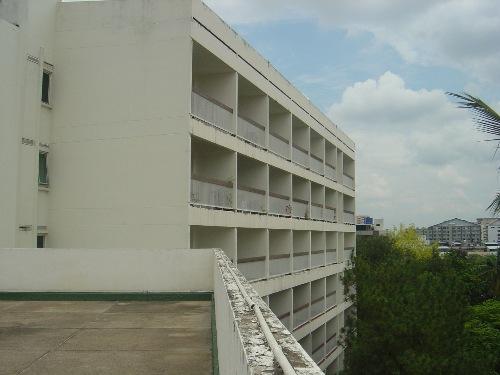 87.JPG