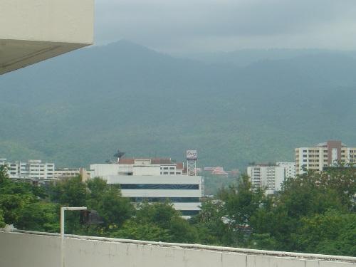 78.JPG