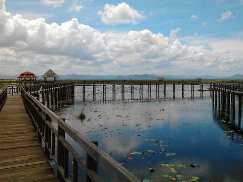 รูป​ถ่าย0832_resize.jpg