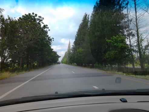รูป​ถ่าย0825_resize.jpg