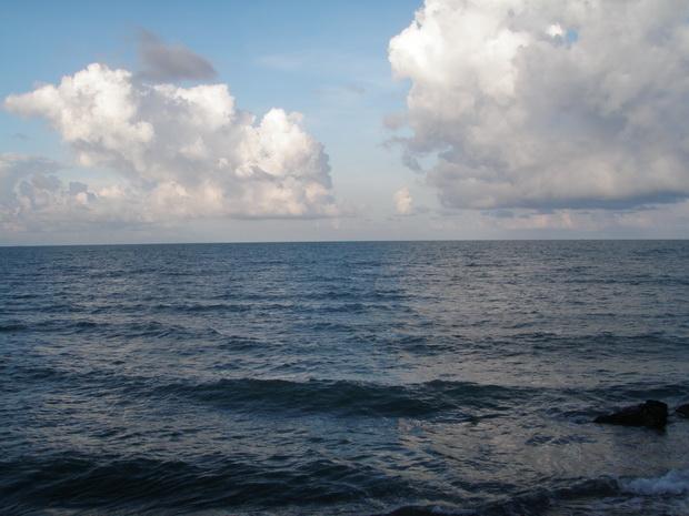 P4300229_resize.JPG