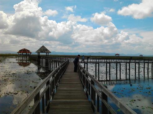 รูป​ถ่าย0833_resize.jpg