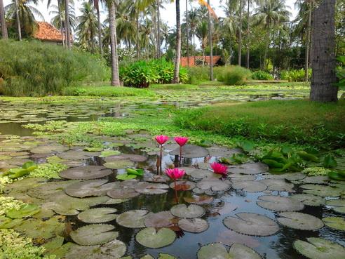รูป​ถ่าย0881_resize.jpg