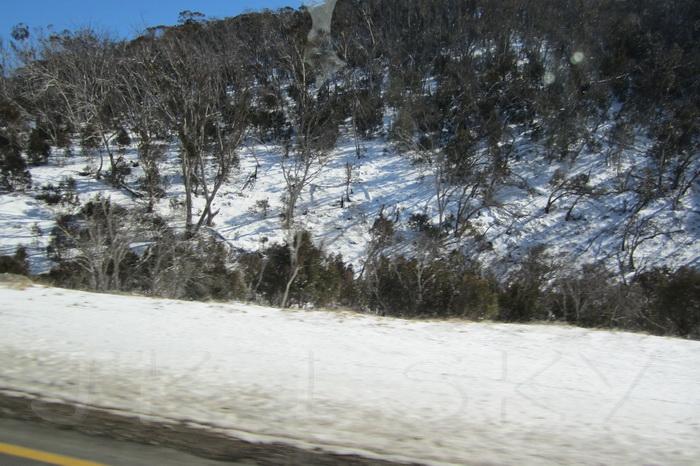 IMG_3561_resize.JPG