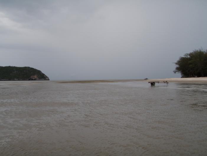 P5060829_resize.JPG