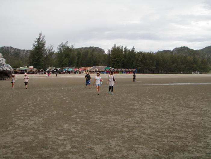 P5060803_resize.JPG