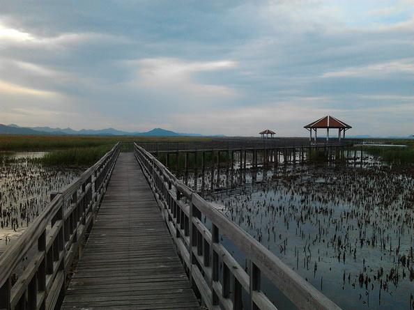 รูป​ถ่าย3489_resize.jpg