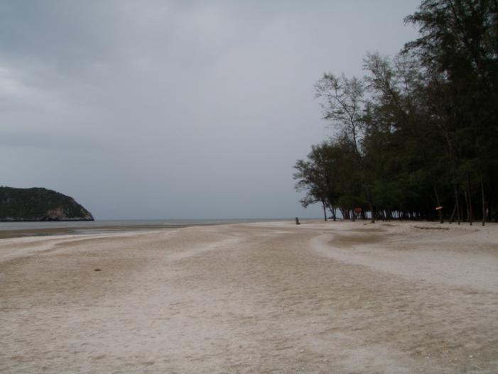 P5060833_resize.JPG