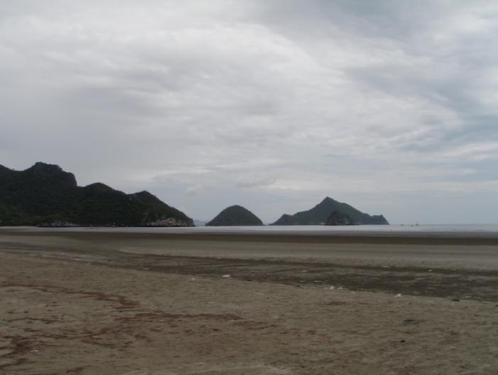 P5060797_resize.JPG
