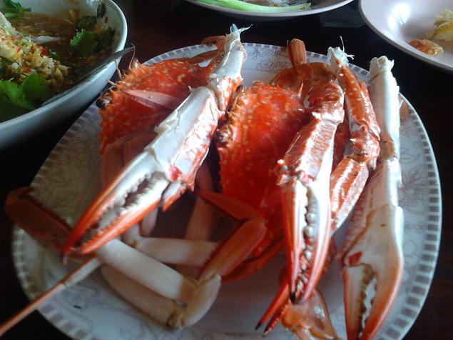 รูป​ถ่าย3566_resize.jpg