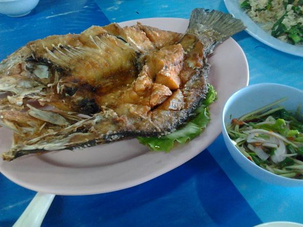 รูป​ถ่าย3303_resize.jpg