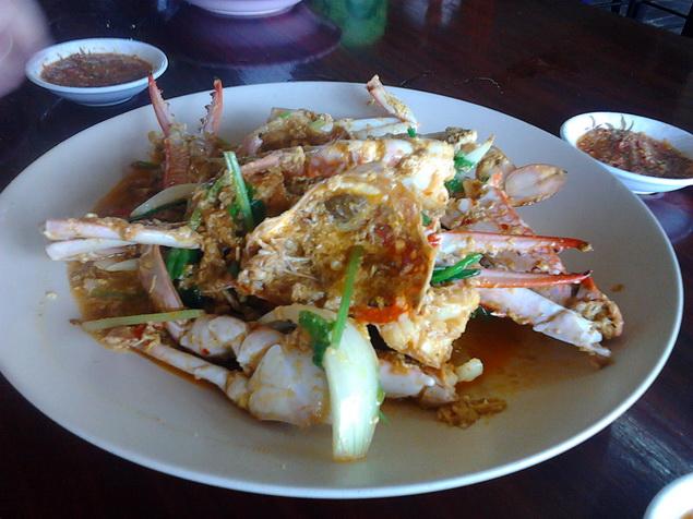 รูป​ถ่าย3563_resize.jpg