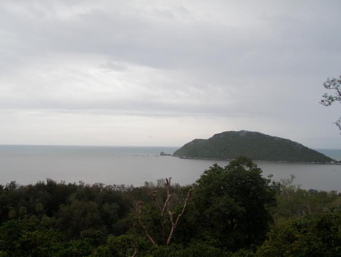 P5060866_resize.JPG