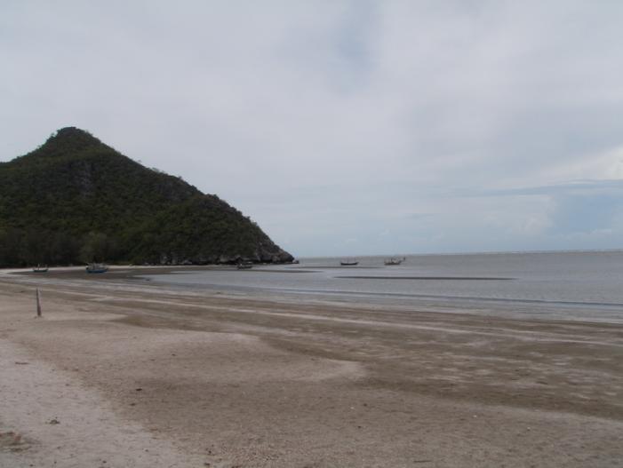P5050690_resize.JPG