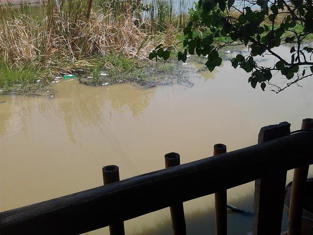 รูป​ถ่าย3561_resize.jpg