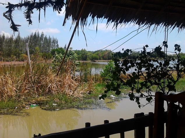 รูป​ถ่าย3558_resize.jpg