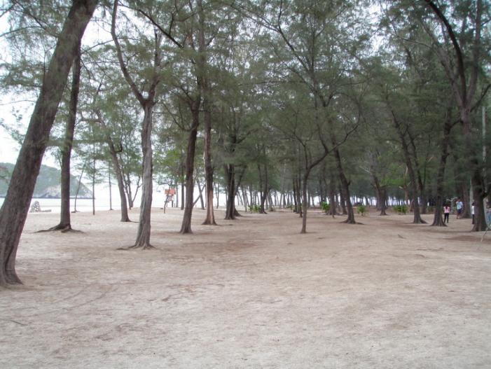 P5060836_resize.JPG