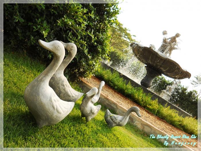 DSCN5867.JPG