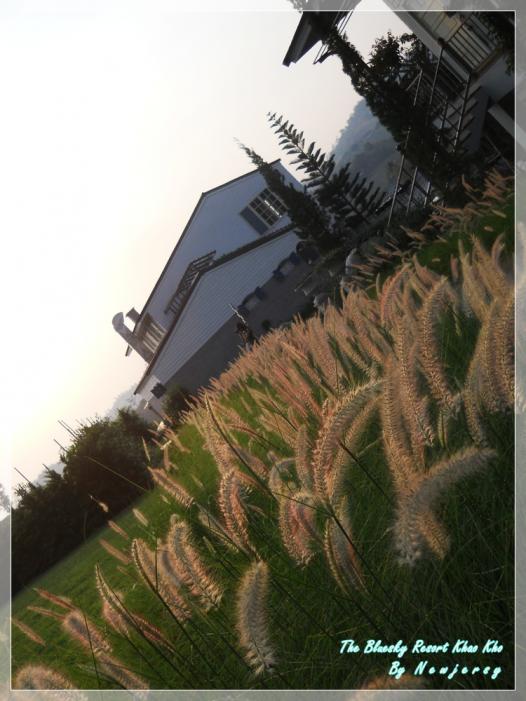 DSCN5945.JPG