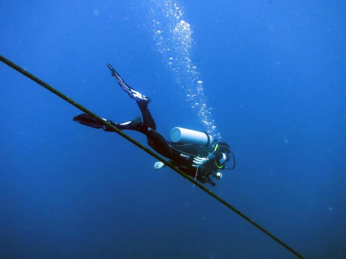 AOW010R.JPG