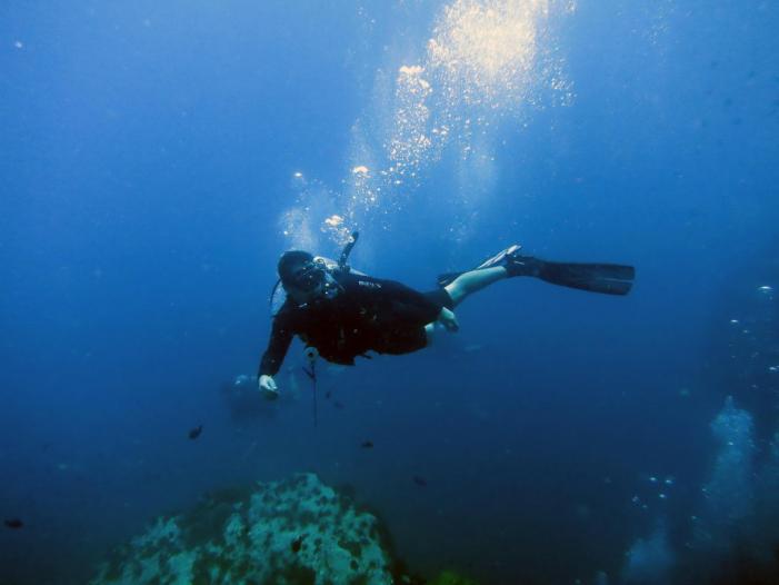 AOW013R.JPG