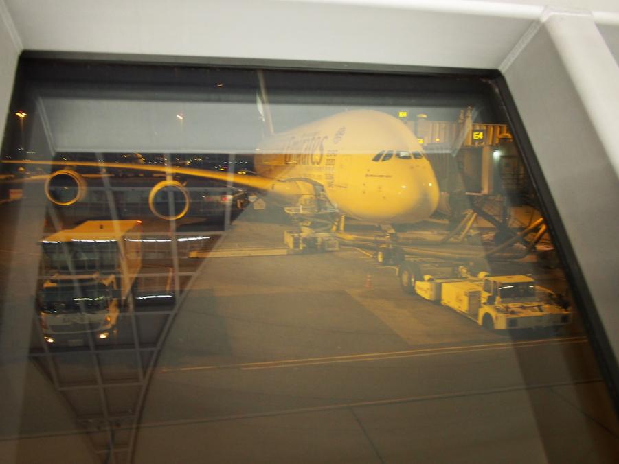 P5020004.JPG