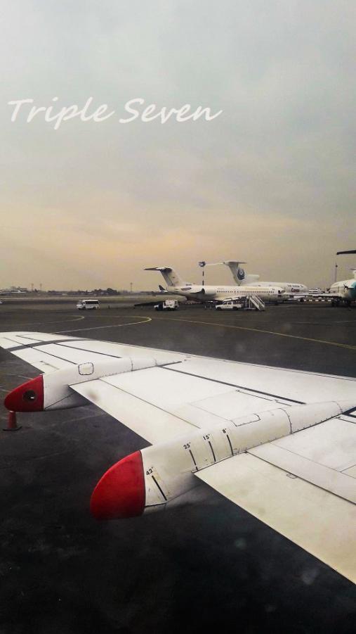 wing1.jpg
