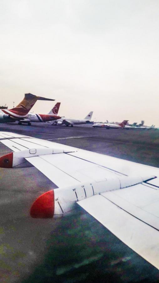 wing2.jpg